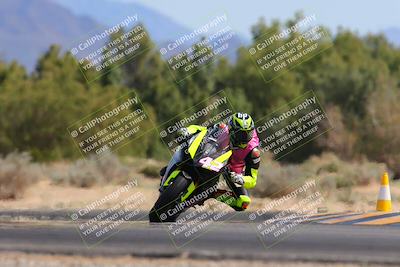 media/Mar-10-2024-SoCal Trackdays (Sun) [[6228d7c590]]/11-Turn 7 (130pm)/